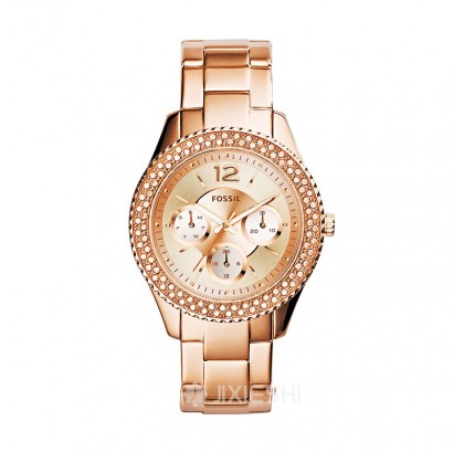 FOSSIL FOSSILŮʿʯӢES3590 Ȿԭ