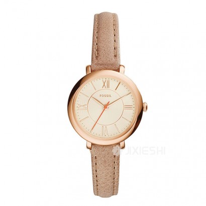 FOSSIL (gu)FOSSILŮʿֱES3802 Ȿԭ