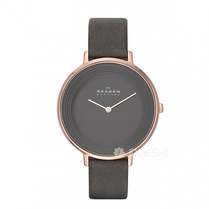 SKAGEN DENMARK Ԋ(sh)ŮʿSKW2216 Ȿԭ