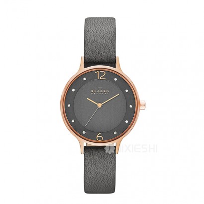 SKAGEN DENMARK ԊʯӢŮʿֱSKW2267 Ȿԭ