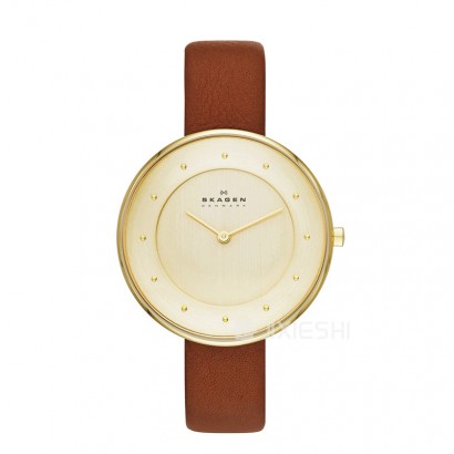 SKAGEN DENMARK ԊʯӢŮʿֱSKW2138 Ȿԭ