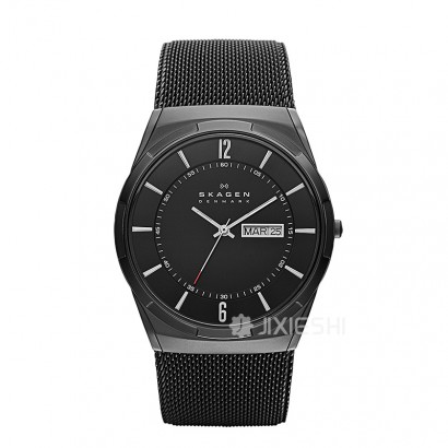 SKAGEN DENMARK ԊʯӢʿֱSKW6006 Ȿԭ