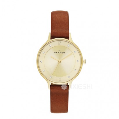 SKAGEN DENMARK ԊʯӢŮʿֱSKW2147 ...