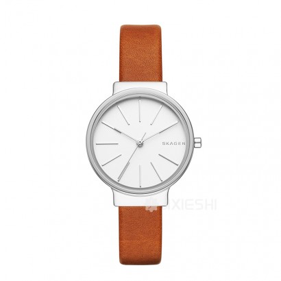 SKAGEN DENMARK ԊʯӢŮʿֱSKW2479 ...