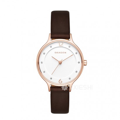 SKAGEN DENMARK ԊʯӢŮʿֱSKW2472 ...