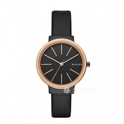 SKAGEN DENMARK ԊʯӢŮʿֱSKW2480 ...