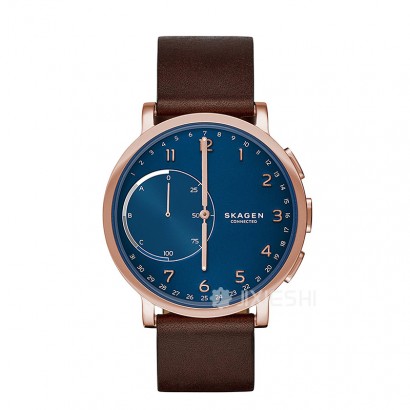 SKAGEN DENMARK ԊʯӢŮʿֱSKT1103 Ȿԭ