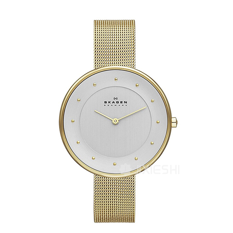 SKAGEN DENMARK ԊʯӢŮʿֱSKW2141 ...