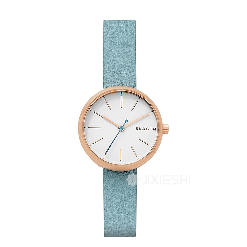 SKAGEN DENMARK ԊʯӢŮʿֱSKW2621 ...