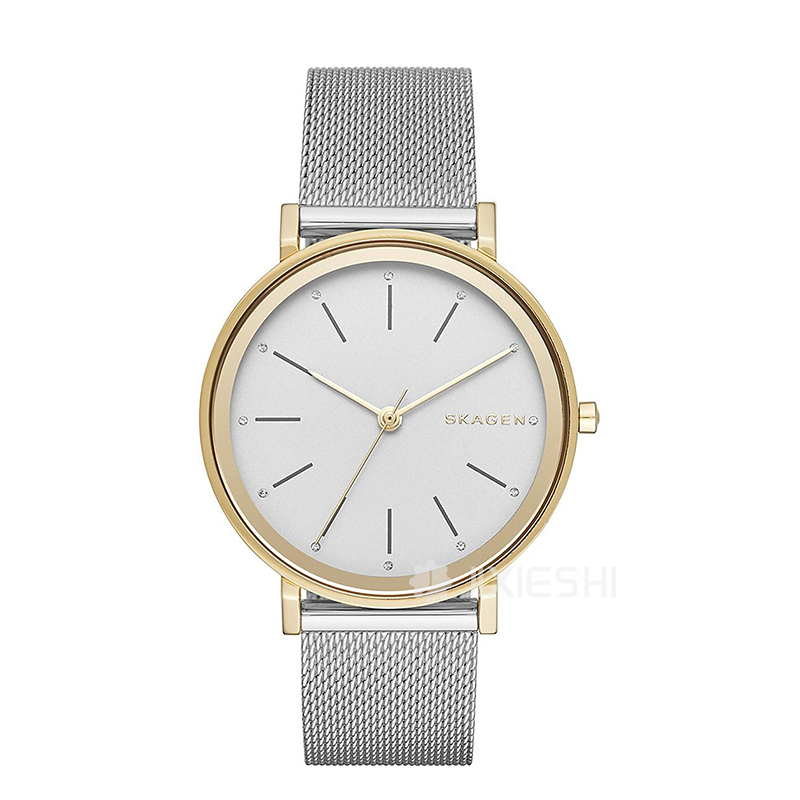 SKAGEN DENMARK Ԋ(sh)ʯӢŮʿֱSKW2508 ...