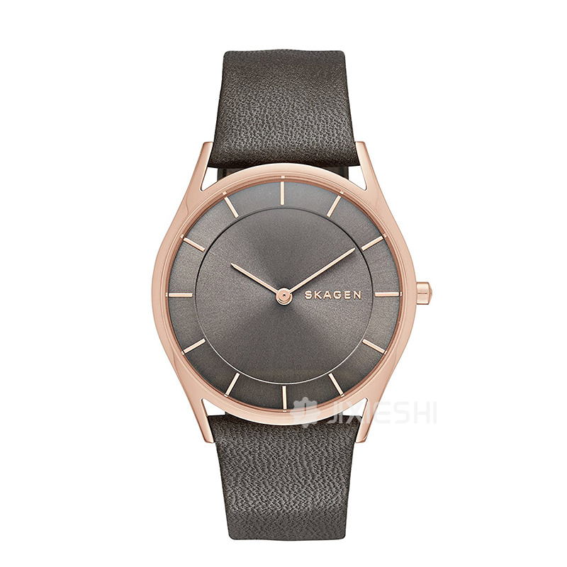 SKAGEN DENMARK ԊʯӢŮʿֱSKW2346 ...