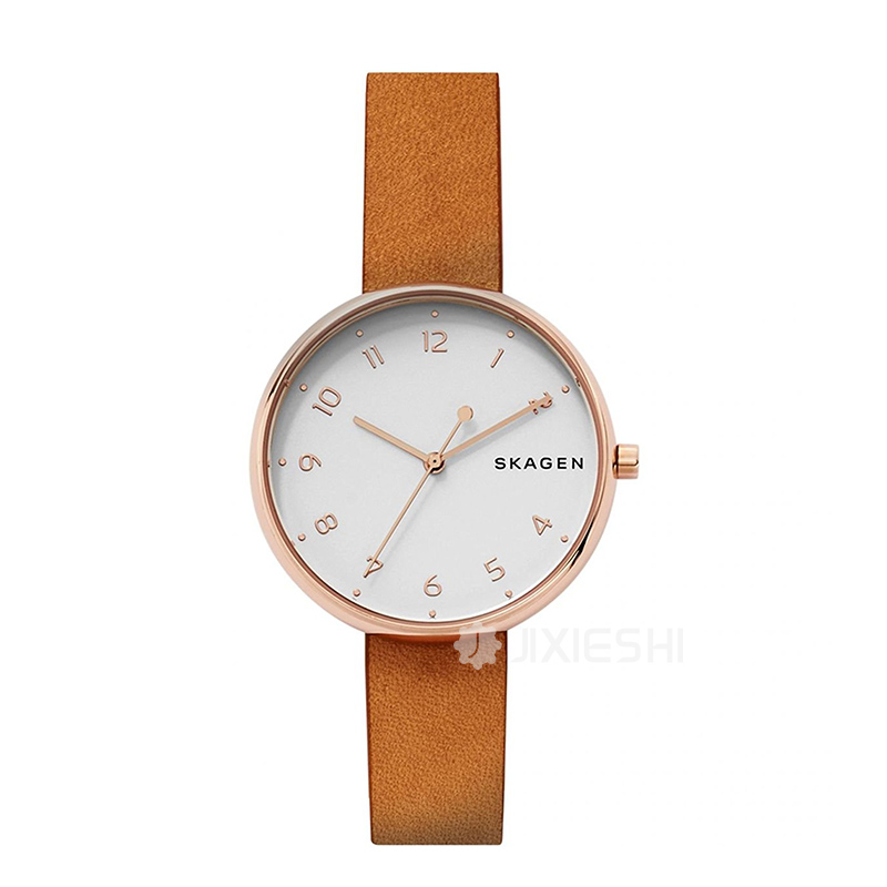 SKAGEN DENMARK ԊʯӢŮʿֱSKW2624 ...