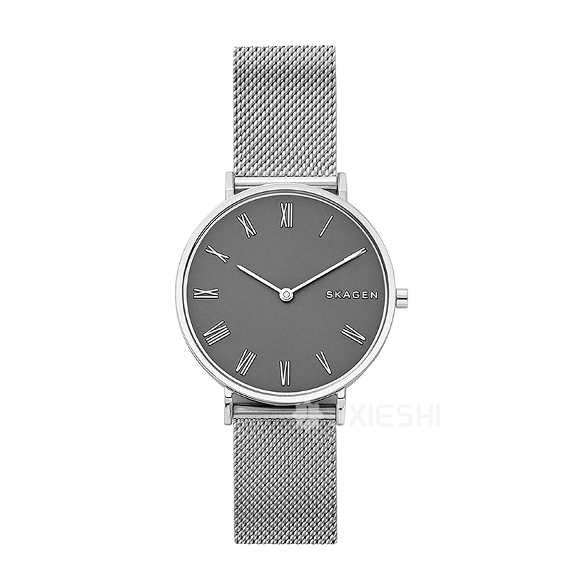 SKAGEN DENMARK ԊʯӢŮʿֱSKW2677 ...