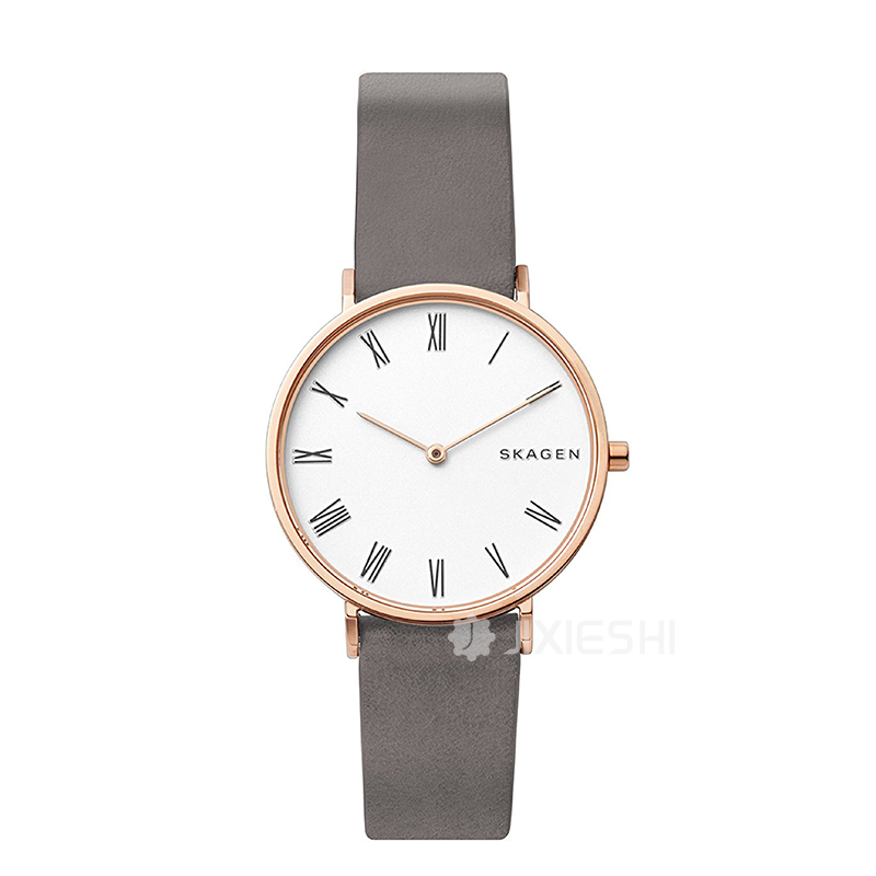 SKAGEN DENMARK ԊʯӢŮʿֱSKW2674 ...