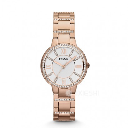 FOSSIL (gu)FOSSILʯӢŮʿֱES3284 Ȿԭ