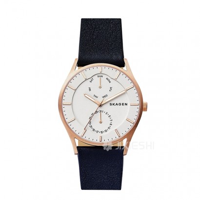 SKAGEN DENMARK ԊʯӢʿֱSKW6372 ...