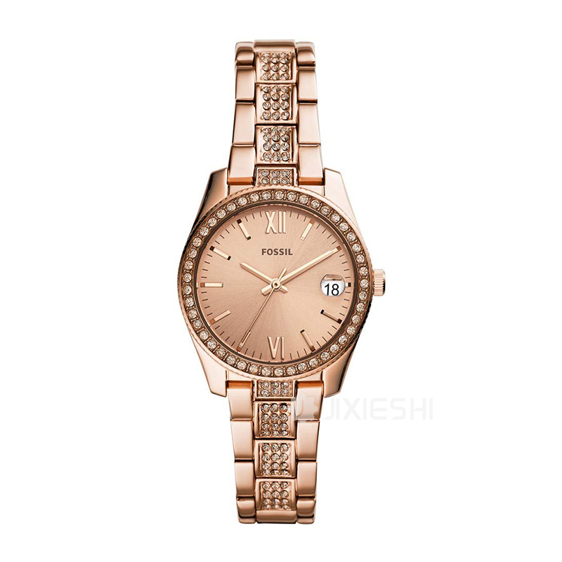 FOSSIL FOSSILŮʿʯӢES4509 Ȿԭ