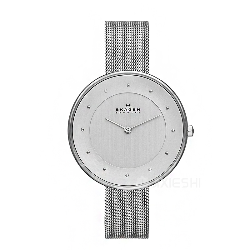 SKAGEN DENMARK Ԋ(sh)ŮʿSKW2140/1 Ȿԭ