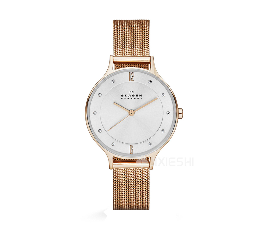 SKAGEN DENMARK ԊʯӢŮʿֱSKW2151 Ȿԭ