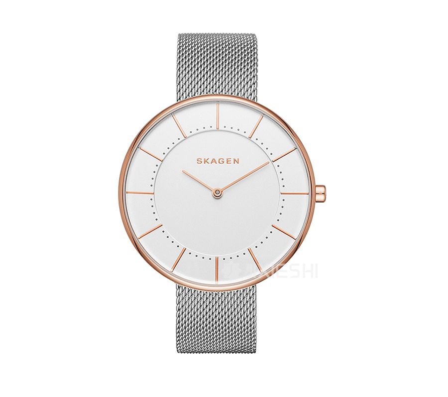 SKAGEN DENMARK ԊʯӢŮʿֱSKW2583 Ȿԭ