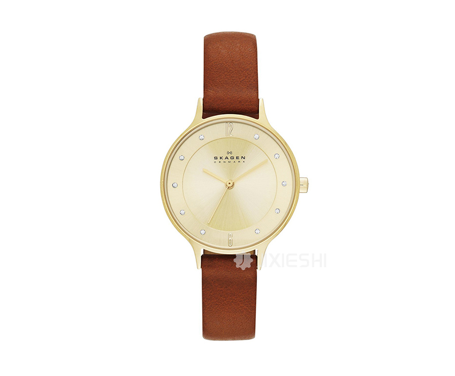 SKAGEN DENMARK ԊʯӢŮʿֱSKW2147 Ȿԭ