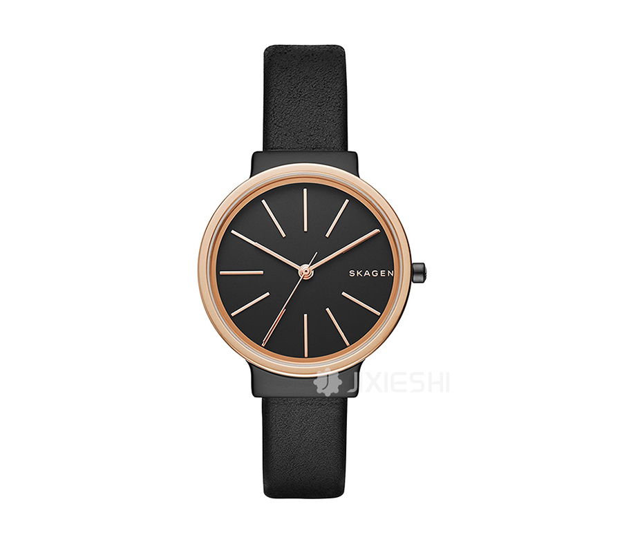 SKAGEN DENMARK ԊʯӢŮʿֱSKW2480 Ȿԭ