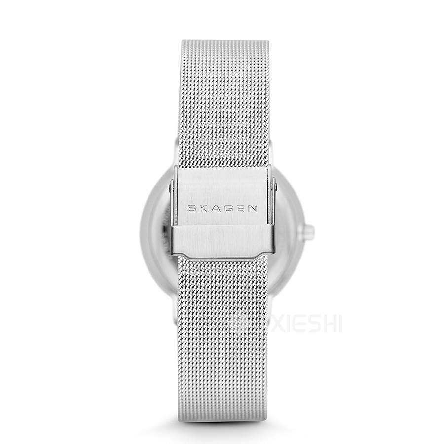 SKAGEN DENMARK ԊʯӢŮʿֱSKW2075 Ȿԭ