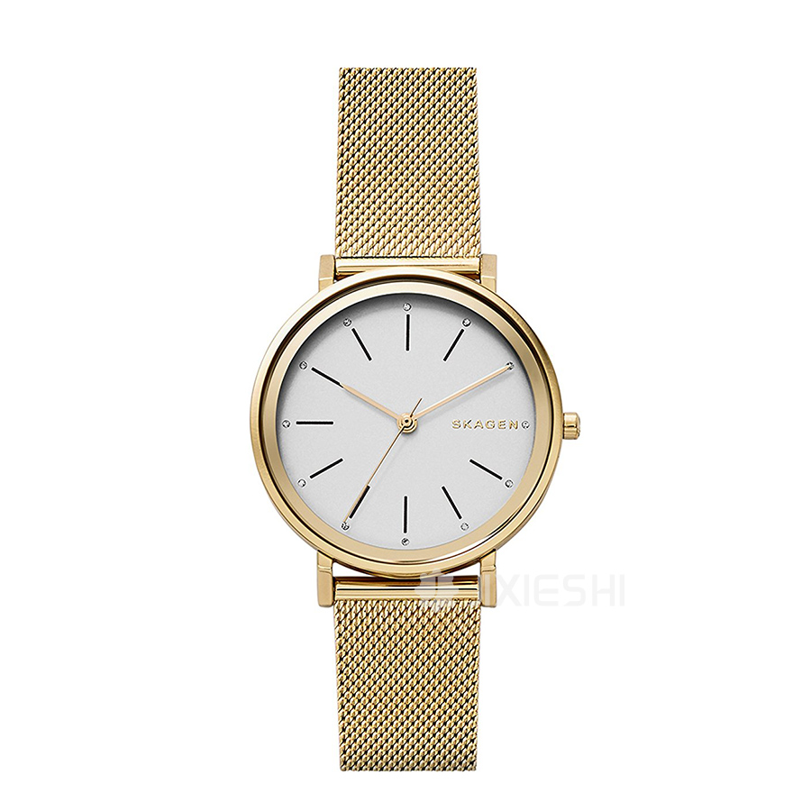 SKAGEN DENMARK ԊʯӢŮʿֱSKW2509 Ȿԭ