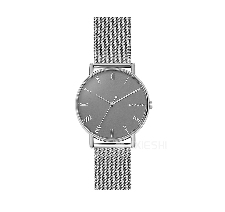 SKAGEN DENMARK ԊʯӢʿֱSKW6428 Ȿԭ