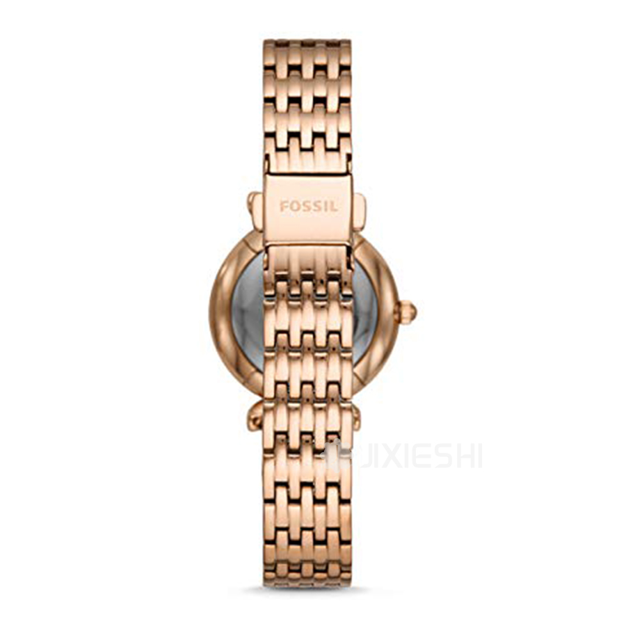 FOSSIL FOSSILŮʿʯӢES4522 Ȿԭ