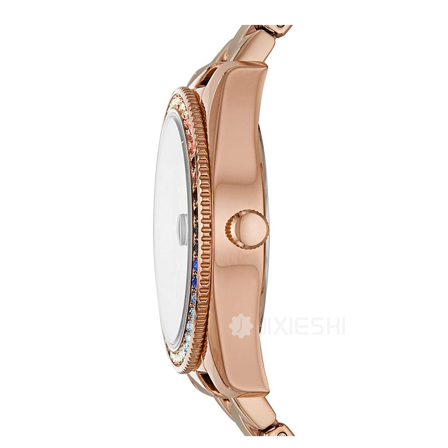 FOSSIL (gu)FOSSILŮʿʯӢES4491 Ȿԭ