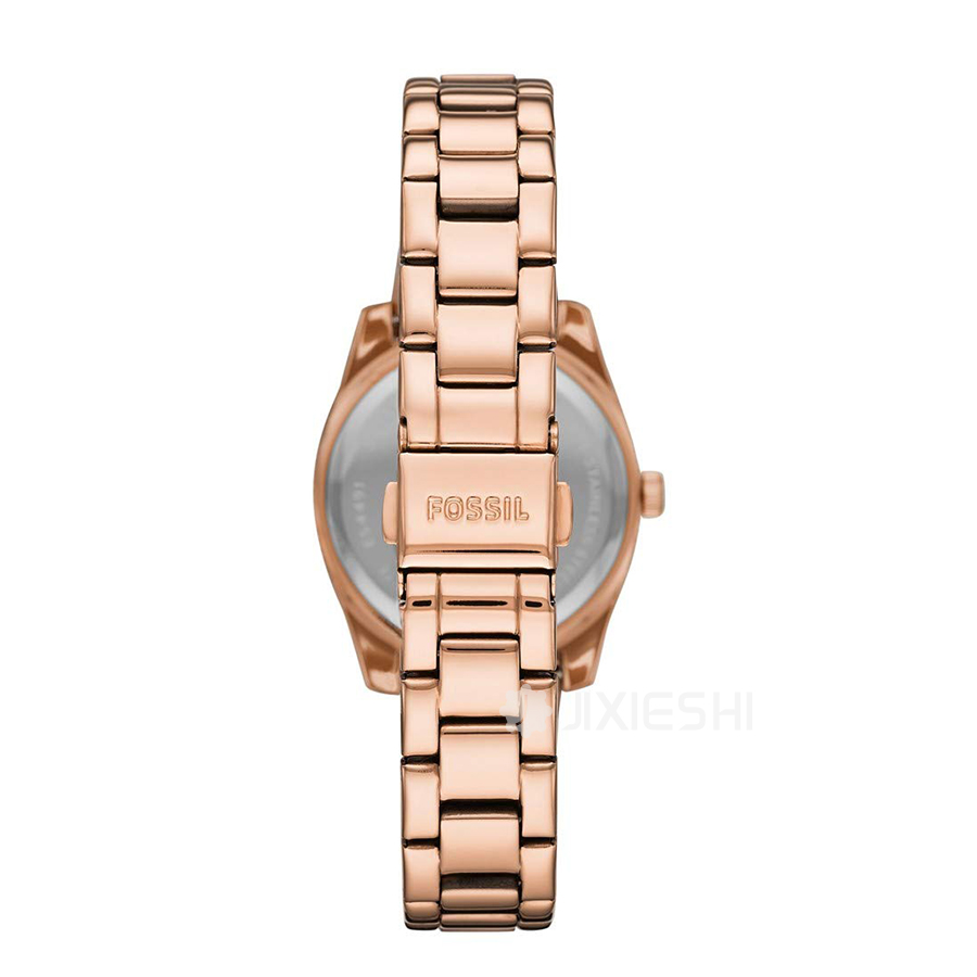 FOSSIL (gu)FOSSILŮʿʯӢES4491 Ȿԭ