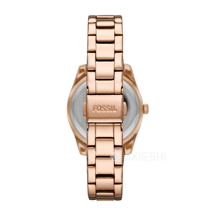 FOSSIL FOSSILŮʿʯӢES4509 Ȿԭ