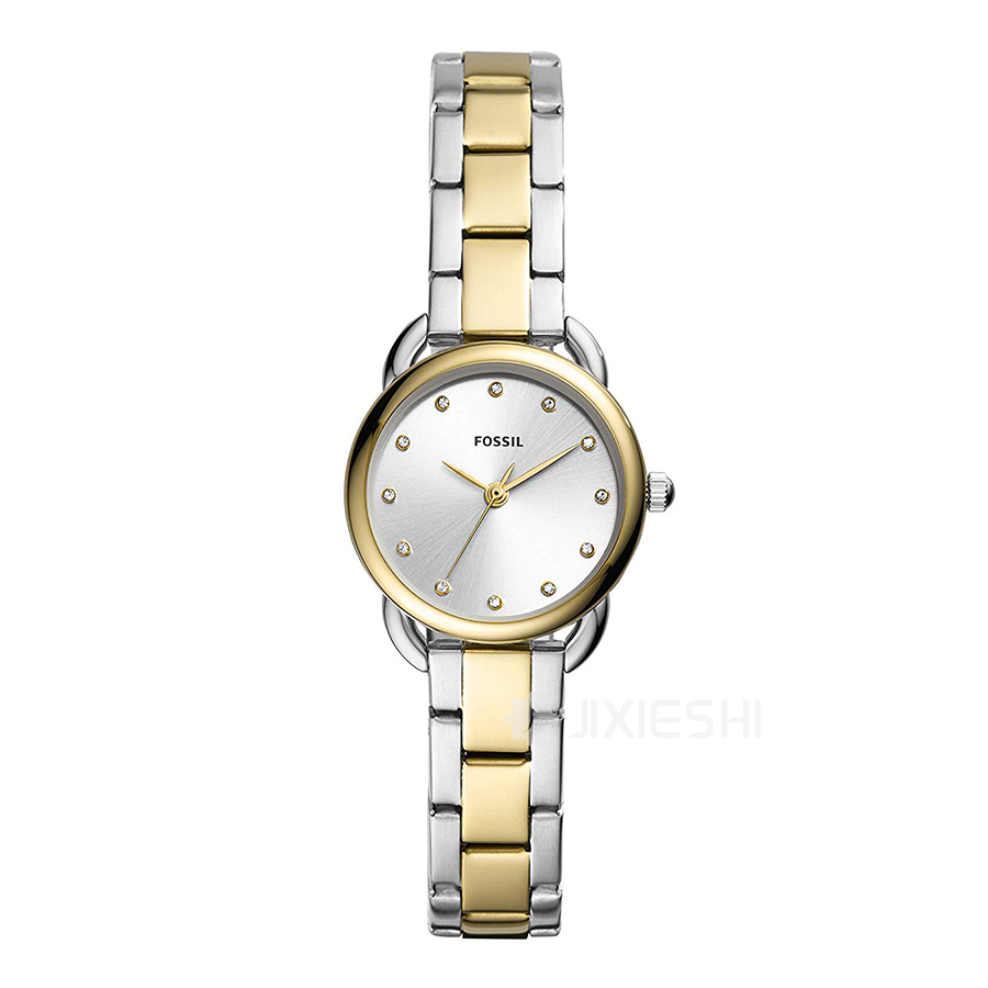 FOSSIL FOSSILŮʿʯӢES4498 Ȿԭ